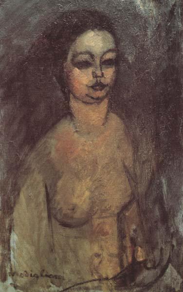 Amedeo Modigliani Jeune fille nue (mk38) France oil painting art
